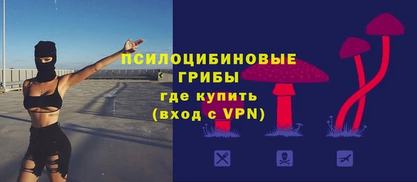 первитин Козельск