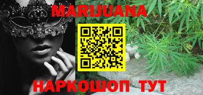 прущие грибы Канаш