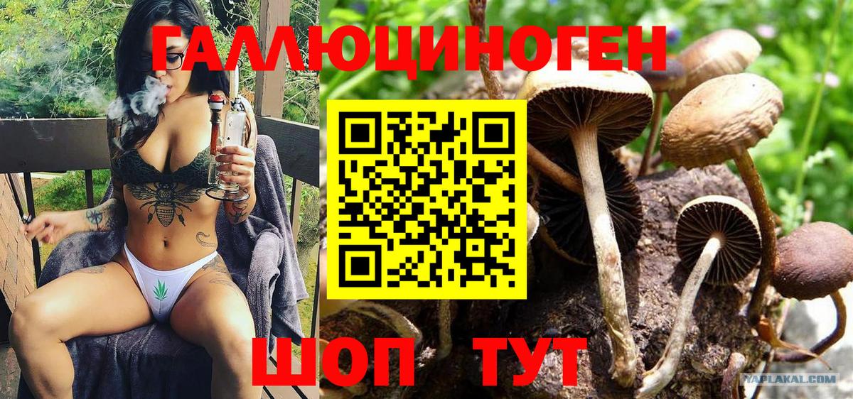 Галлюциногенные грибы MAGIC MUSHROOMS Котовск
