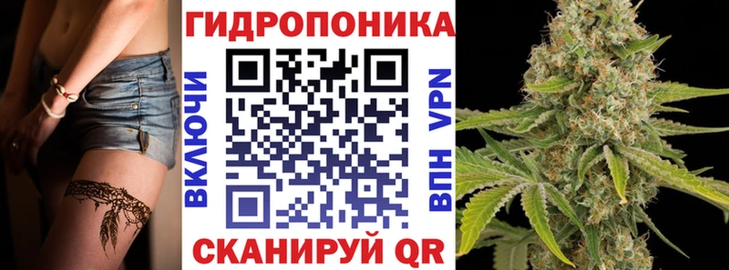kraken сайт  магазин продажи   darknet Telegram  МАРИХУАНА MAZAR  Котовск 